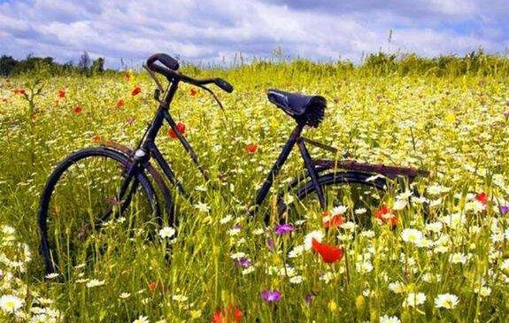 Короткочасний дощ та гроза: якою буде погода на Буковині 22 липня