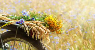 Хмарно та подекуди значний дощ: якою буде погода на Буковині 17 липня