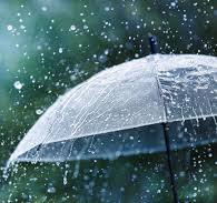 Значний дощ та гроза: 18 липня на Буковині очікується негода