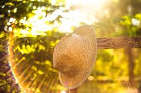 +22 градуси та хмарно: погода на 19 серпня на Буковині