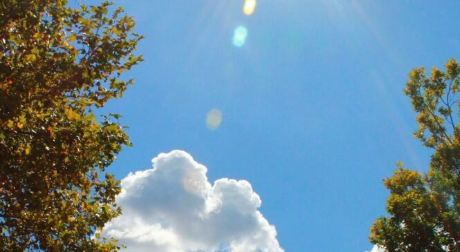 До 25 градусів тепла та без опадів: якою буде погода на Буковині 10 вересня