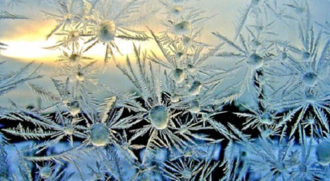 Перші морози на Буковині. Вночі синоптики прогнозують мінусову температуру