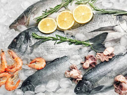 6 видів риби, які легко наситять організм вітаміном D без таблеток