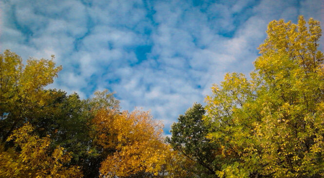 +29 та без опадів: якою погодою розпочнеться тиждень, 22 вересня