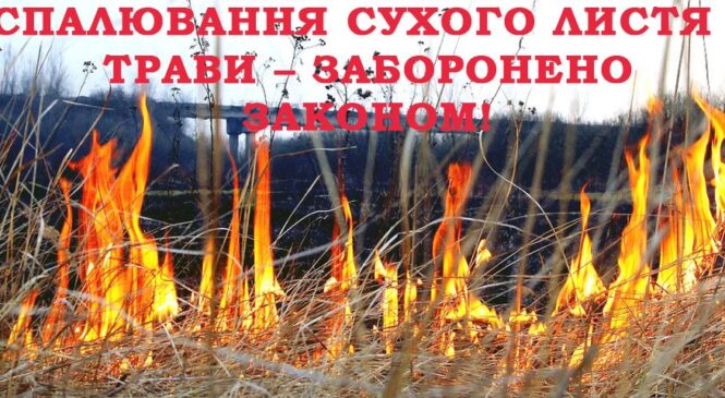 Рятувальники вкотре закликають не спалювати сухостій!