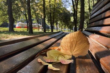 Якою буде погода на Буковині 15 жовтня