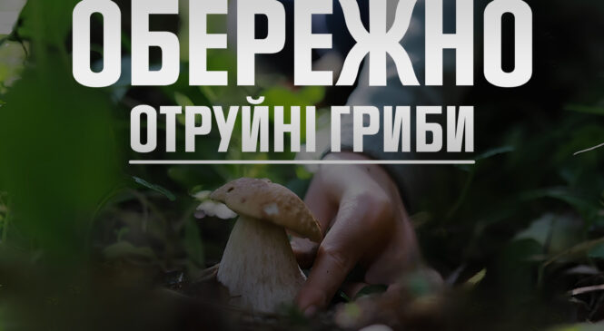 Фахівці Головного управління ДСНС України у Чернівецькій області нагадують про небезпеку вживання дикорослих грибів