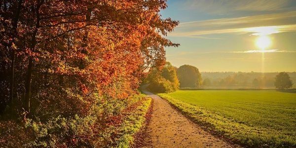 Мінлива хмарність: якою буде погода на Буковині 14 жовтня