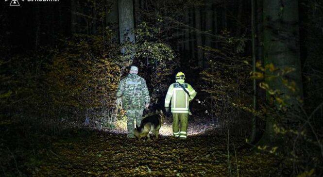 В лісі, поблизу села Валя Кузьмина заблукала жінка