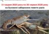 З 1 грудня 2025 року по 30 червня 2026 року на Буковині заборонено ловити раків