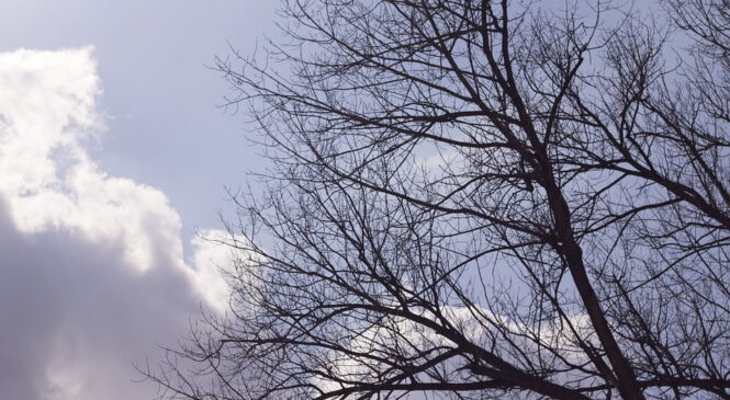 Хмарно з проясненнями та до 8 градусів тепла: якою сьогодні буде погода на Буковині