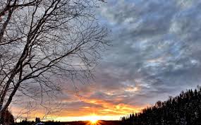 Погода на Буковині 5 грудня