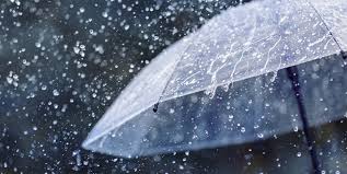 Туманна та хмарна погода: що прогнозують синоптики на Буковині на 2 грудня