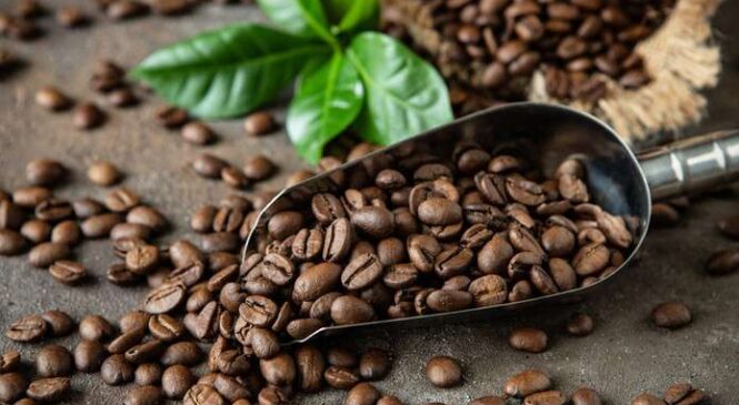 Що «гірше» для здоров’я: кава чи енергетик