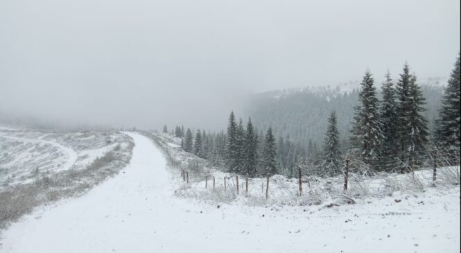 Сьогодні на Буковині очікується сніг: прогноз погоди на 18 лютого