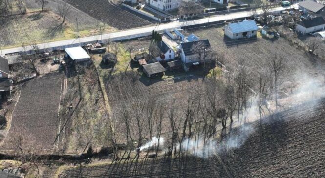 Один сірник — і поле в огні: на Буковині посилили контроль за підпалами трави