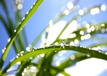 Погода на Буковині 16 квітня