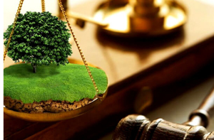 До бюджету Глибоцької громади планують стягнути понад 178 тисяч гривень за використання землі без оплати