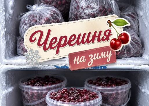 Як заморозити черешню на зиму: прості способи зберегти смак літа. На смак — як тільки з дерева.