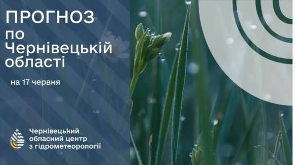 Погода на Буковині 17 червня