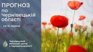 Погода на Буковині 16 червня
