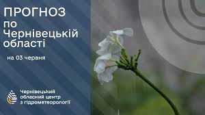 Погода на Буковині 3 червня