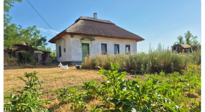 Жінка 10 років доглядала будинок, який покинули сусіди: чи дозволив суд оформити його на себе