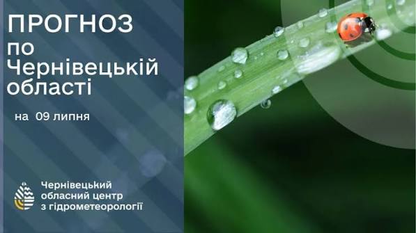 Погода на Буковині 9 липня