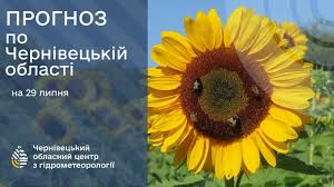Погода на Буковині 29 липня.