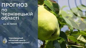 Погода на Буковині 22 липня.