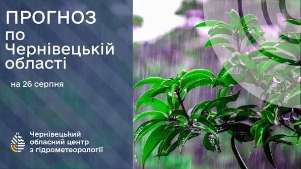 Погода на Буковині 26 серпня.