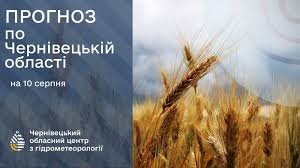 Погода на Буковині 10 серпня.