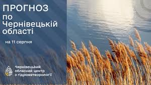 Погода на Буковині 11 серпня.