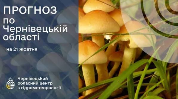 Погода на Буковині 21 жовтня