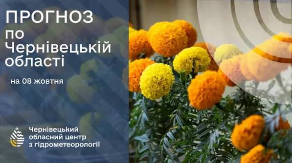 Погода на Буковині 8 жовтня