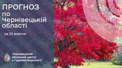 Погода на Буковині 23 жовтня
